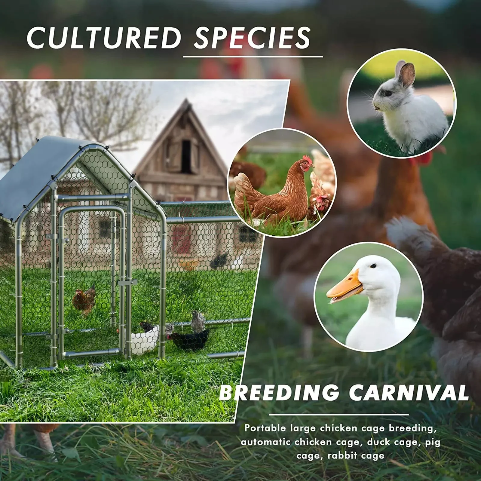BOSSIN Bold Chicken Coop Run Large Metal Chicken Pen Outdoor - Image 3
